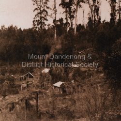 Landscape showing land clearance against uncleared bush. Child property went almost to Silvan. Harry Child had the sawmill.