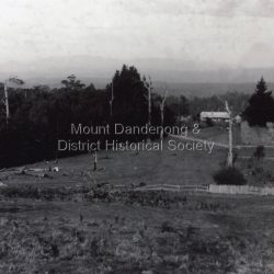 Mountain Grange homestead with the great barn. Left are remains of tree clearance. Fruit tress at right angle to the house. Other cultivation evident. This is the earliest of the 3 views in the collection.