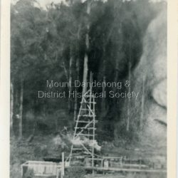 Detailed inscription on the back of photograph handwritten by John Lundy-Clarke. Child Bros Sawmill from north about 1903.