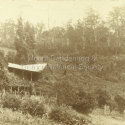 Dear Grandma, received your letter and was pleased of it. Did you get that present I sent you? What do you think of this post card it is Mt. Dandenong. Love and xx, Ethel
To: Mrs. Madden 192 Queensbury Street, Noth Melbourne