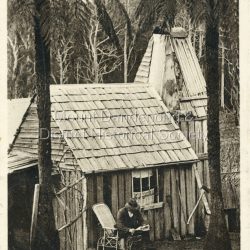 A Selector's Home, Dandenong Ranges