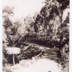 Rose Series Postcard number 2841: Copy of Rose Series postcard #2841 showing a stretch of the Olinda-Mount Dandenong Road.