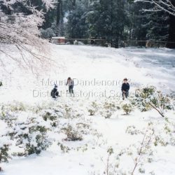 Three children playing in snow covering bank and oval at Mount Dandenong Primary School 5th September 1995. Snow lasted three days.