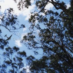 Picture taken through treetops of fly-over at the 60 year anniversary of the October 25th 1938 Kyeema aircraft disaster. The DC-3, Kanana VH-ABR, was a new aircraft that was scheduled to enter service at Essendon Airport the week after the Kyeema disaster in 1938. Now 60 years old, the Kanana is being maintained in airworthy condition by volunteers. On the day of the fly-over it was flown by retired airline Captains John Dorwood and Lionel Griffith.