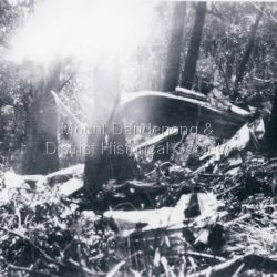 Photograph showing twisted metal and broken trees at the site of the Kyeema DC-2 aircraft crash into the western slope of Mt Dandenong on 25th October 1938. All 18 on board perished.