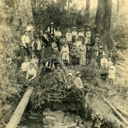 Photograph mounted on stiff cardboard showing a group of adults and children attending a working bee to clear a site for the Mount Dandenong State School which opened on April 23rd 1901 following the relocation of a building from Ringwood to the site. The original school operated from a rented building from 1897 that was opposite the present school site. NB: The attendees looked fairly well dressed for a working bee.: Handwritten on back of photo: Working bee clearing site for Mount Dandenong State School years about 1899 - 1900 AD.