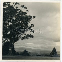 View from Mount Dandenong Observatory View from Mount Dandenong Observatory Dandenong Observatory Carpark (now Sky High Restaurant) taken in August 1953. Large tree on LHS with sign reading 'LADIES'. Two old cars parked. Photograph taken by Sydney Walter Jackson.: On back of photograph: From Mount Dandenong Observatory Dandenong Aug 53