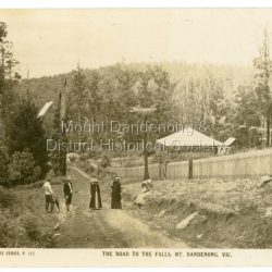 Postcard showing two men and two women standing on Falls Road and two girls sitting on the grassy bank. This section of Falls Road would be below the current Tourist Road. A long fence has been built on the LHS and a house with a verandah is clearly seen. Early 1900s. The postcard appears to have been sent to Jim Woolrich from Auntie Florrie.: On front of postcard: THE ROSE SERIES #152 THE ROAD TO THE FALLS, Mount. DANDENONG. VIC. On back of postcard: Mr J Woolrich 58 Mountfield St Brunswick Wishing you many happy returns of the day from Auntie Florrie.