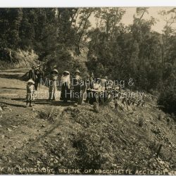 Devils Elbow, Mount Dandenong