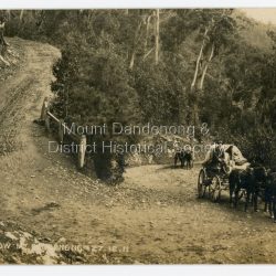 Original postcard showing two wagons coming up the hill to round the Devil's Elbow, scene of a wagon disaster where a wagon and horses went over the side on December 27th 1911. The first wagon is pulled by three horses and the second one horse with a man leading it.: On front of postcard: DEVILS ELBOW MT DANDENONG 27.12.1911