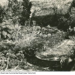 Original Main Road Near Summerlea Road
