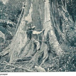 Measuring a Skyscraper