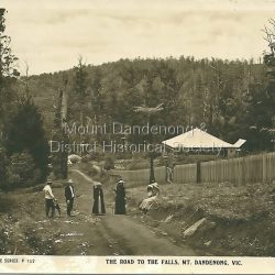 The Road To The Falls, Mt Dandenong