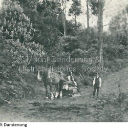 Ridge Road, Mt Dandenong