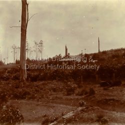 William Dower took up 10 acres at Mt Dandenong in 1898. He secured a property known as Cambridge Gardens which was located between the present Mt Dandenong Tourist Road and Yarrabee Road. William and his wife Elizabeth had seven sons (Will, Harry, Bert, Walter, Joe, Edgar and Robert) and four daughters (Emmy, May, Ada and Ruby). There was a two room slab hut on the property when they took possession and they added another five rooms using trees from the property. The Pig and Whistle Tea Rooms referred to in the inscription is now Tatra Hut.: Sepia coloured photograph (copy of an original) showing a cottage in the centre of a cleared area with a fence at the front and a significant dead tree left of centre. There is an inscription typed below the photograph.: 1911 Cambridge gardens, Mt Dandenong (Opposite Pig and Whistle Tea Rooms showing the original Main Road)