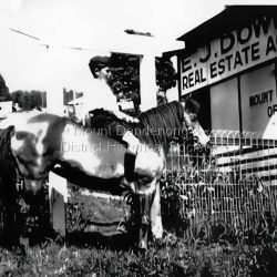Outside Dower Real Estate Office