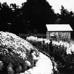 E.J. Dower Real Estate