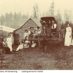 Cambridge Gardens Mt Dandenong