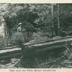 View Near The Falls, Mount Dandenong