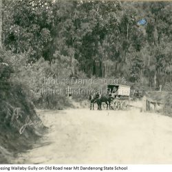 Jeeves' Coach Crossing Wallaby Gully