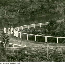Original main Road Crossing Wallaby Gully. Now Farndon's Road
