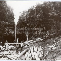 Handwritten inscription on reverse by John Lundy-Clarke. 1925 ? 1919 A20. Rivett's Sawmill in the gully behing their home in Blythes Road, Mt Dandenong. (between Lots 23 and 25 Section 2 Mooroolbark Village Settlement. Copy from Dave Rivett. 24-10-81