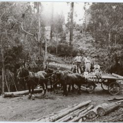 Handwritten inscription on reverse by John Lundy-Clarke. 1920 A20. Rivett family on their wagon at the site of their roadside sawmill at Wallaby (?) Creek at Mt Dandenong now close to the kindergarten. The driver - Mr Rivett. On Wagon L-R - ?, Bert, George, ? Sitting on edge of wagon - Lily,?, Nina, Aloin. Copy from Dave Rivett.