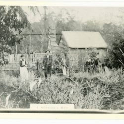 The Keoghs took up Lot 7 in the Village Settlement in 1905. John Keogh was a big Irishman and cleared many of the giant trees on his Lot 7. They had little water for their crops so grew gooseberries and red currants rather than the more valuable strawberries. Mrs Keogh (nee Cleary) inherited money in 1906 and they built a new weatherboard house. The original bush hut remained as the kitchen. Son James (Jimmie) married Mary Walsh, a teacher at the local school. Jimmie built the small shop on the triangle of land cut off when the CRB road went through. Jimmie and his wife left the district when he joined Victoria Police. Jimmie came back to the area and finally sold the land of Lot 7 to Rimington's Nurseries. He moved his family to Kilsyth. In 1939 the shop was moved across the road to be used as an office by the road builders. It burned down that year.: Black and white photograph of a man, woman and young male standing outside a wooden hut. There are crop remnants in the foreground and a wooden paling fence behind the hut. A label on the front reads A SETTLER'S HUT. Reverse of photograph has handwritten description by John Lundy-Clarke.: Front: A SETTLER'S HUT Reverse: 1905 Keogh's hut on Falls Road then Main Road. This was later the kitchen of their extended home as described in the narrative "Mountain of Struggle". The figures are - Mrs Keogh. John Keogh settler. Son James Keogh.