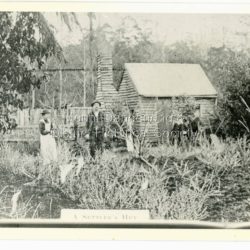 The Keoghs took up Lot 7 in the Village Settlement in 1905. John Keogh was a big Irishman and cleared many of the giant trees on his Lot 7. They had little water for their crops so grew gooseberries and red currants rather than the more valuable strawberries. Mrs Keogh (nee Cleary) inherited money in 1906 and they built a new weatherboard house. The original bush hut remained as the kitchen. Son James (Jimmie) married Mary Walsh, a teacher at the local school. Jimmie built the small shop on the triangle of land cut off when the CRB road went through. Jimmie and his wife left the district when he joined Victoria Police. Jimmie came back to the area and finally sold the land of Lot 7 to Rimington's Nurseries. He moved his family to Kilsyth. In 1939 the shop was moved across the road to be used as an office by the road builders. It burned down that year.: Black and white photograph of a man, woman and young male standing outside a wooden hut. There are crop remnants in the foreground and a wooden paling fence behind the hut. A label on the front reads A SETTLER'S HUT. Reverse of photograph has handwritten description by John Lundy-Clarke.: Front: A SETTLER'S HUT Reverse: 1905 Keogh's hut on Falls Road then Main Road. This was later the kitchen of their extended home as described in the narrative "Mountain of Struggle". The figures are - Mrs Keogh. John Keogh settler. Son James Keogh.