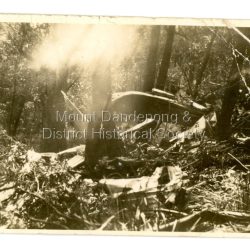 The aircraft KYEEMA, a Douglas DC-2, crashed into the western face of Mt Dandenong in thick cloud on 25th October 1938. All 18 occupants on board were killed. The aircraft overshot Essendon Airport by 20 miles. The subsequent findings triggered the beginning of air traffic control and the establishment of the Department of Civil Aviation. This photograph was taken in 1938 by First Constable Carl Tepper of Russell Street Police Station. Carl Tepper was a cousin of Frank Child, grandson of Ted Child. They were related through the Dorey family.: Sepia photograph showing the wreckage of an aeroplane spread in the forest amongst trees. Sunlight is streaming through a gap in the trees.: On reverse: Wreckage of plane crash in Dandenongs flying daily from Adelaide to Melbourne 1930s. No survivors. Taken by late First Constable Carl Tepper Russell Street Police Station.