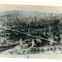 Area shown is a slope of Mount Dandenong with a section cleared of tall trees.: Black and white photograph showing a sloped area of trees, some cleared,