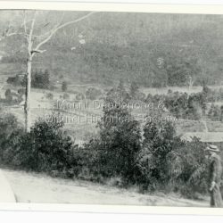 This photograph was taken c1908 and shows the view from Mount Dandenong Road, Montrose about 275 metres north of Sheffield Road.: Black and white photograph showing a man in a white hat walking up a dirt road wth bush a nd a house roof to his right.