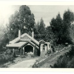 Alf Dorey took up LOTs 6 and 7 in Section 2 . He lived in a house of split timbers on the slope west of where 'The Welkin' was built. Alf sold his LOTs in sections - a piece of LOT 6 going to Edwin L Bell who engaged Ern Badenhop to build a house known as The Welkin. Black and white photograph showing a driveway leading to an ornate house nestled in the trees. Another building can be seen on the rhs. Reverse of photograph has handwritten description by John Lundy-Clarke.: "The Welkin" Built about 1919 for Bell of matchmaking fame, by Ern Badenhop on Lot 6 Sect 2 Vill. Set. A. DOREY's. Was run as a guest house by Peters family.