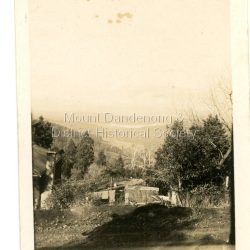 Writing on back reads: Taken on our way to the observatory when Gert sat on the stump