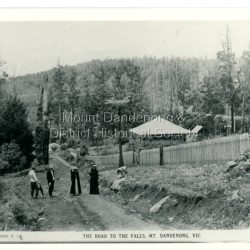 Postcard showing two men and two women standing on Falls Road and two girls sitting on the grassy bank. This section of Falls Road would be below the current Tourist Road. A long fence has been built on the LHS and a house with a verandah is clearly seen. Early 1900s. The postcard appears to have been sent to Jim Woolrich from Auntie Florrie.: On front of postcard: THE ROSE SERIES #152 THE ROAD TO THE FALLS, Mount. DANDENONG. VIC. On back of postcard: Mr J Woolrich 58 Mountfield St Brunswick Wishing you many happy returns of the day from Auntie Florrie.
Falls Road just south of "Harmonia" ??? Warwick Road now takes off to immediate left. Big house was built for Langford 1909. John Innes's house can be seen beyond bend of road where Anderson's is now. G.E. Dorey's house Wroxhall built 1897 on left just below group. Picket fence was built for Lowe. Road was unmetalled until 1936
