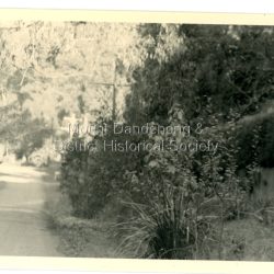 Warwick Road to the left. Lowe's picket fence on Village settlement Lot 9 in behind hedge on the right