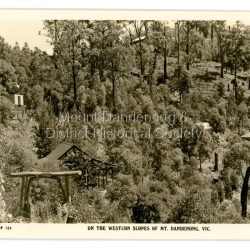 On the Western slopes of Mount Dandenong
