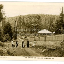 Postcard showing two men and two women standing on Falls Road and two girls sitting on the grassy bank. This section of Falls Road would be below the current Tourist Road. A long fence has been built on the LHS and a house with a verandah is clearly seen. Early 1900s. The postcard appears to have been sent to Jim Woolrich from Auntie Florrie.: On front of postcard: THE ROSE SERIES #152 THE ROAD TO THE FALLS, Mount. DANDENONG. VIC. On back of postcard: Mr J Woolrich 58 Mountfield St Brunswick Wishing you many happy returns of the day from Auntie Florrie.