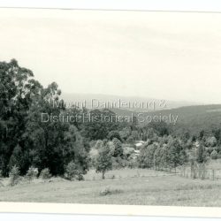 View from the arboretum over Mount Dandenong township at the spot where Edgar Dower took the 1913 photo. The Falls gully in the centre distance. Peter Damon's fence running downhill right foreground