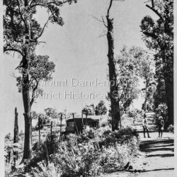 Rose Series postcard #186. The road is most likely Observatory Road, Mt Dandenong.