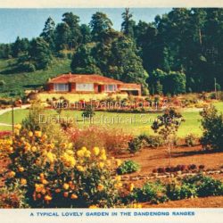Dandenong Ranges Victoria fold out postcard. Query Ferny Creek