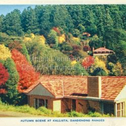 Dandenong Ranges Victoria fold out postcard