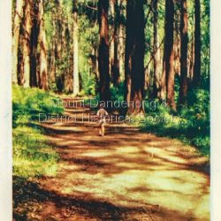Dandenong Ranges Victoria fold out postcard