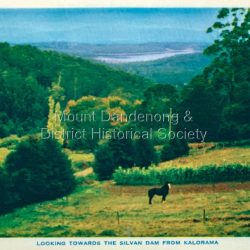 Dandenong Ranges Victoria fold out postcard