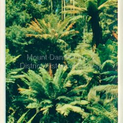 Dandenong Ranges Victoria fold out postcard
