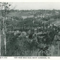 View towards Olinda from Ridge Road in Mount Dandenong