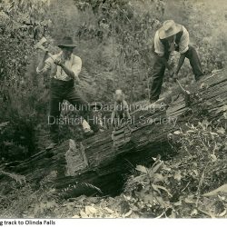 Clearing the track to Olinda Falls