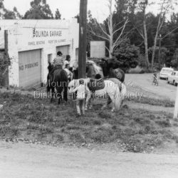 Several ponies outside Olinda garage with 3 cars passing and a child on a Raleigh Chopper bicycle.
A group of pony riding friends taking a rest on the grassy bank outside the Olinda Garage in the late 1960s.
The Tourist Road was a lot quieter then and safer for all users