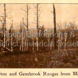 Photo, copied from the Tourists' Guide to the Dandenong Mountains (1904)