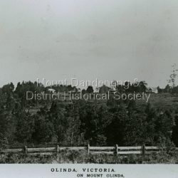 Copy of Photo Series postcard #872 showing houses on Mount Olinda with a wooden railing fence in the foreground c1920s.